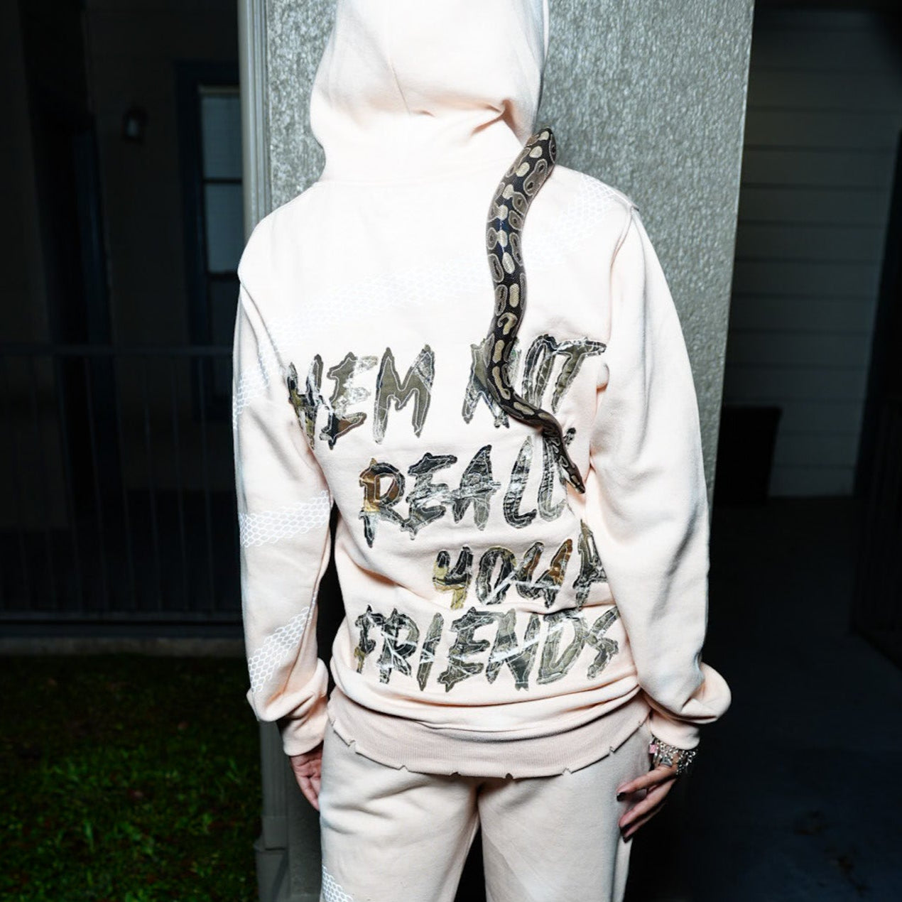 Hugged By Snakes Hoodies